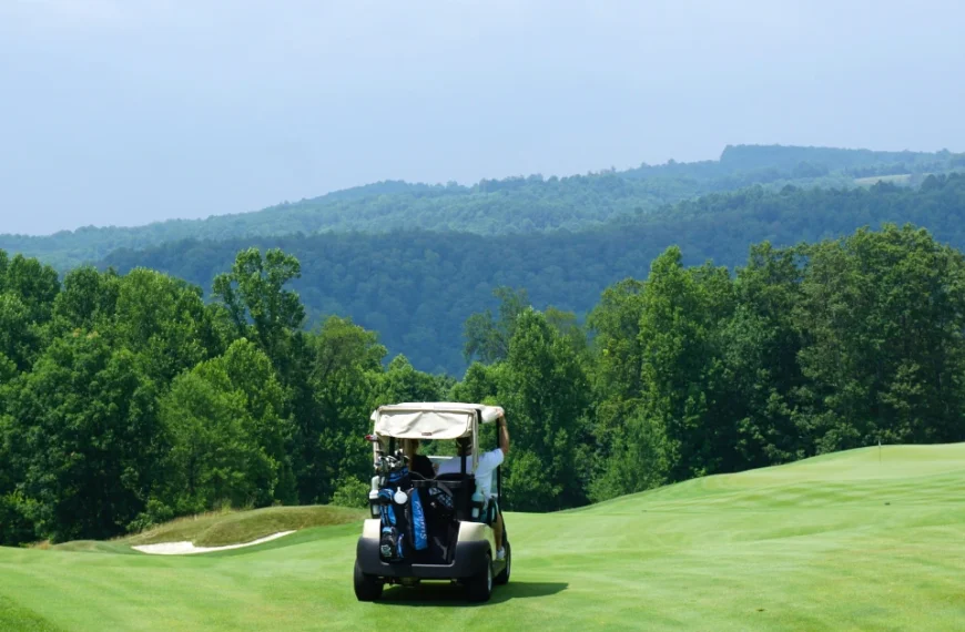 A Golf Cart driving down a Golf Court with a Forest in the background