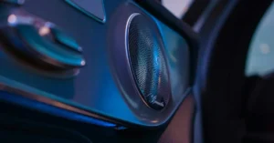 Short Distance Picture of the Door Speaker from a Mercedes