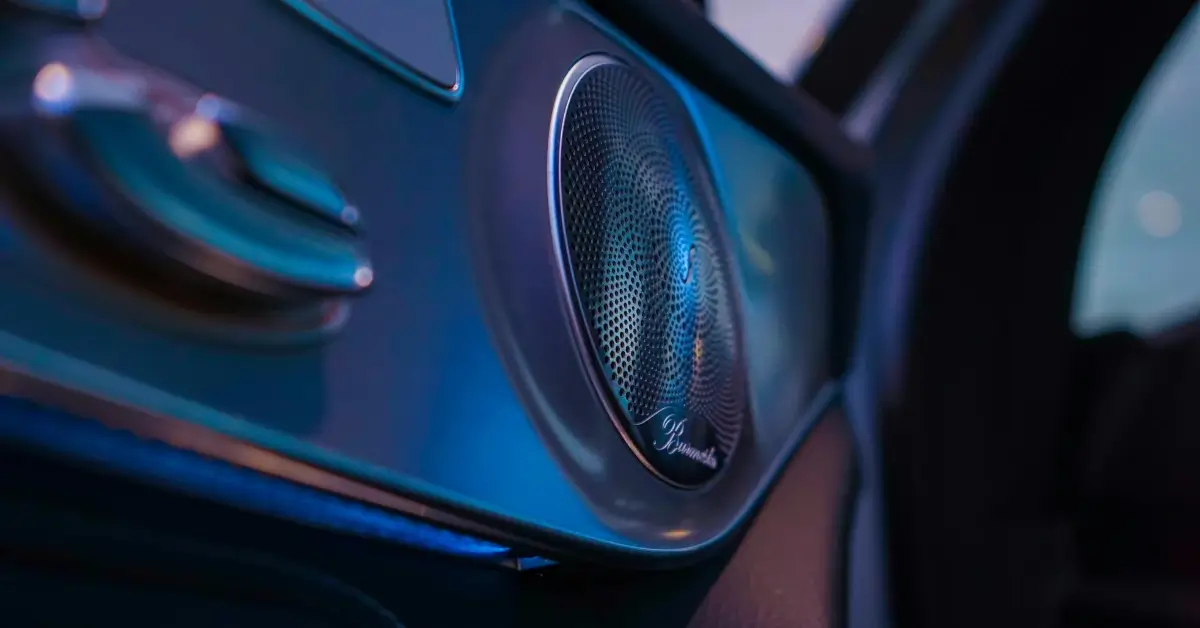Short Distance Picture of the Door Speaker from a Mercedes