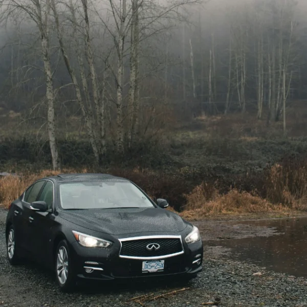 A black Genesis G70 standing in a forest near a sea