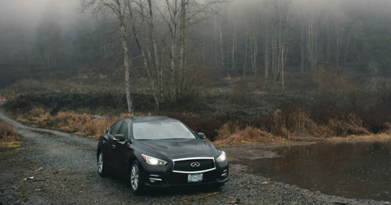 A black Genesis G70 standing in a forest near a sea