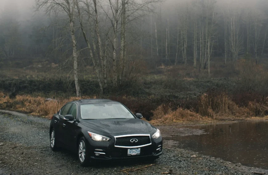 A black Genesis G70 standing in a forest near a sea