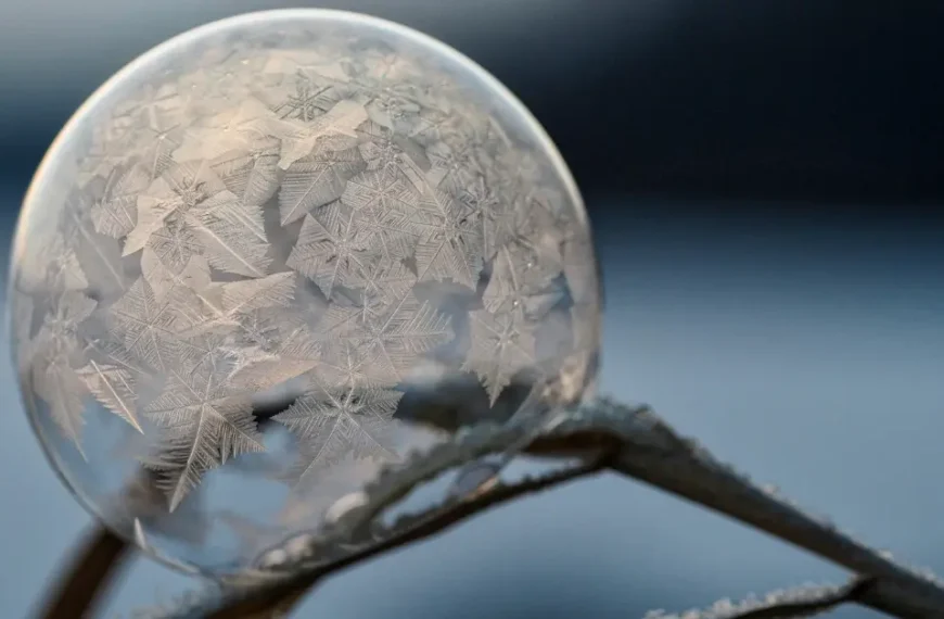 A frozen Bubble on a Stick