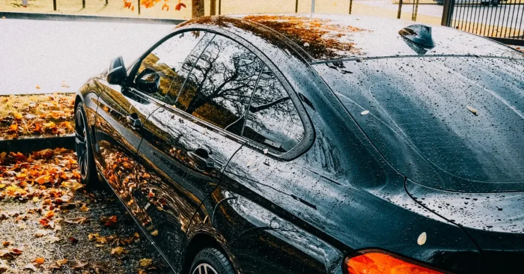 A fresh Ceramic coatet BMW in the Autumn