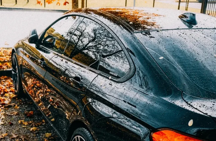 A fresh Ceramic coatet BMW in the Autumn