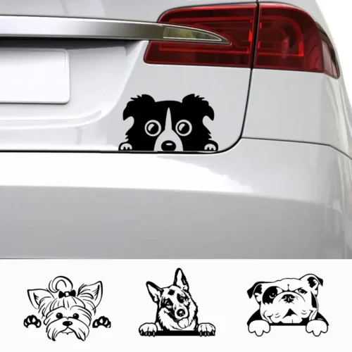 Dog Car Decal at the back of a car